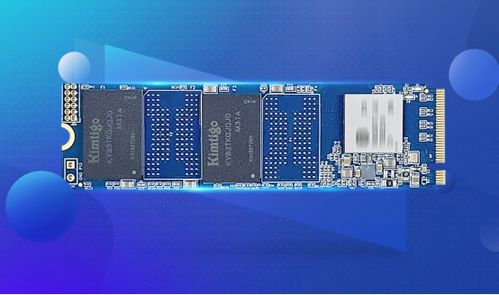 金泰克SSD斬獲麒麟軟件NeoCertify認(rèn)證，夯實(shí)國(guó)產(chǎn)化存儲(chǔ)生態(tài)基石